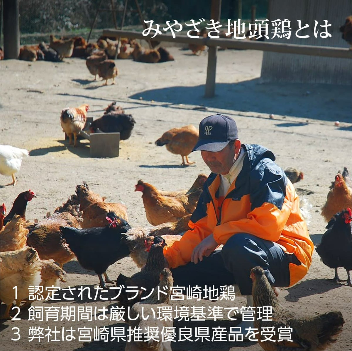 みやざき地頭鶏炭火焼 調理写真 贈答用